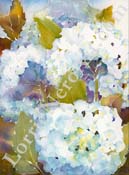 Hydrangeas_WC_A