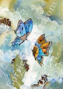 BlueWingButterflies_WC_A