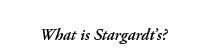 What is Stargardt's?